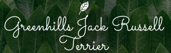 Banner des Züchters