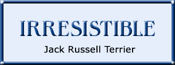 Banner des Züchters