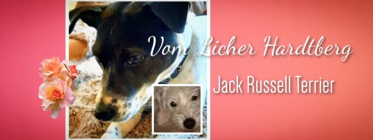 Vom Licher Hardtberg