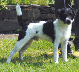 Aus dem Westzipfel Gambler-Loki
