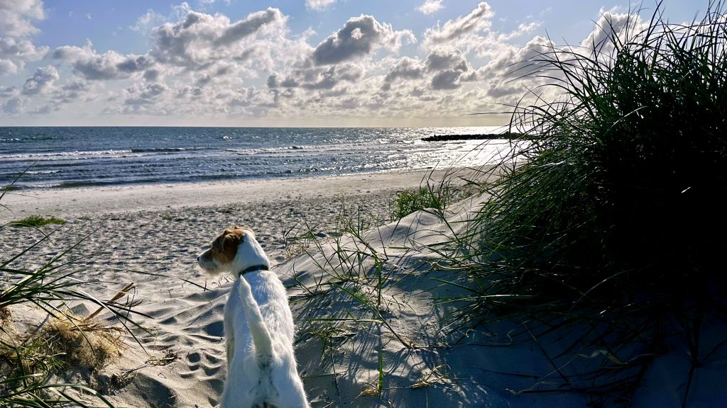 Startseitenbild