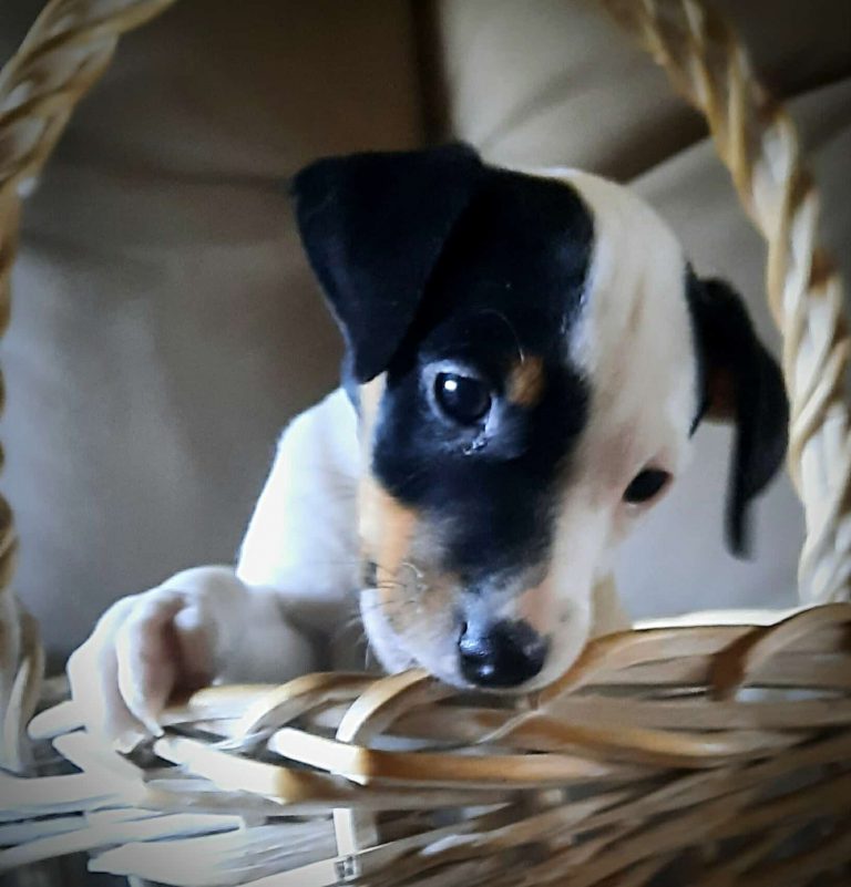 Vom Licher Hardtberg