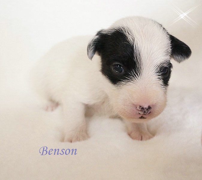 Benson