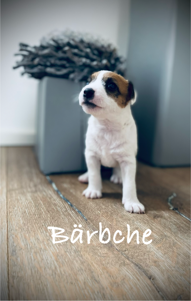 Bärbche