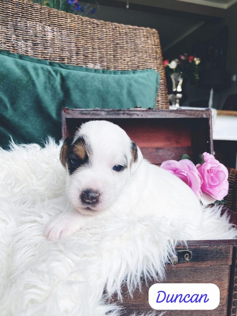 Duncan